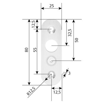 Schliessblech für Türriegel Modell 843-1 und 843ZY-1 Technische Zeichnung