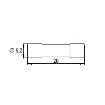 Sicherung für Ex-Magnete 5×20 mittelträge, 200 mA